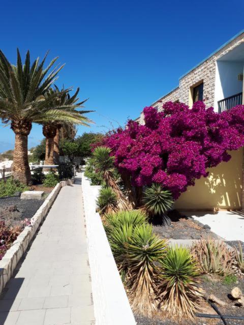 Maravilla Bungalows El Cotillo  Luaran gambar